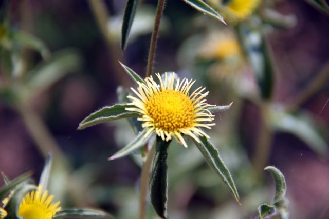 2010 07 13 jeanmarcperfetti.com 021.JPG